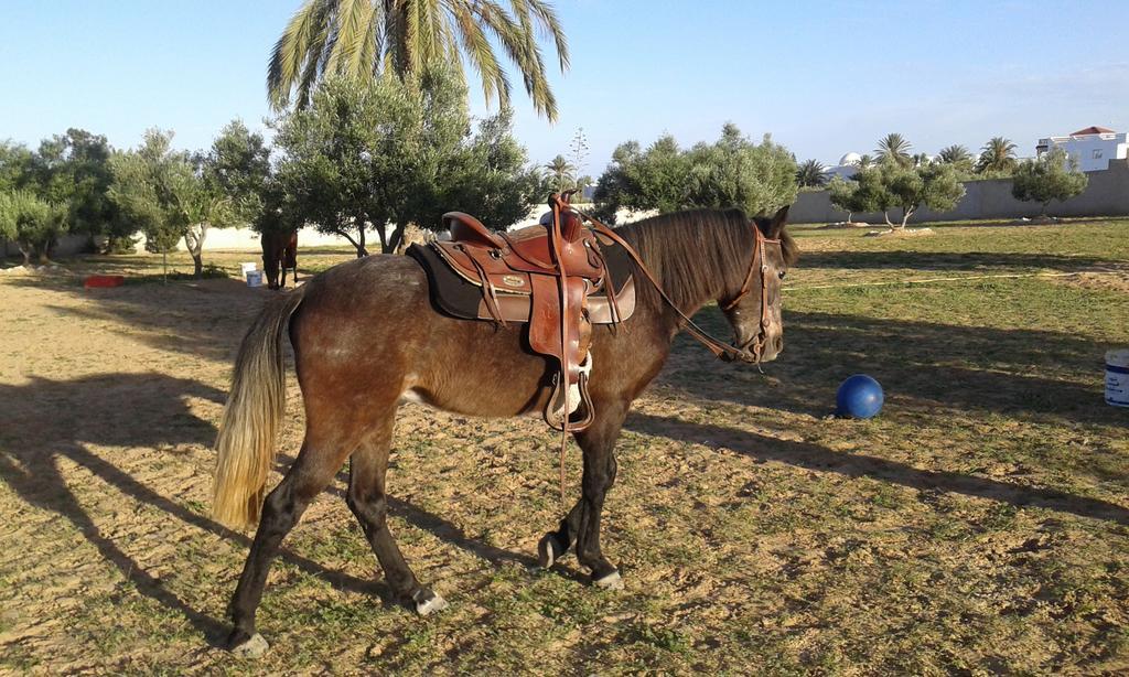 Menzel Churasco Djerba Aghīr Exterior foto